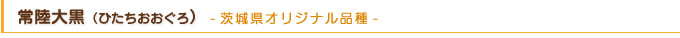商品タイトル