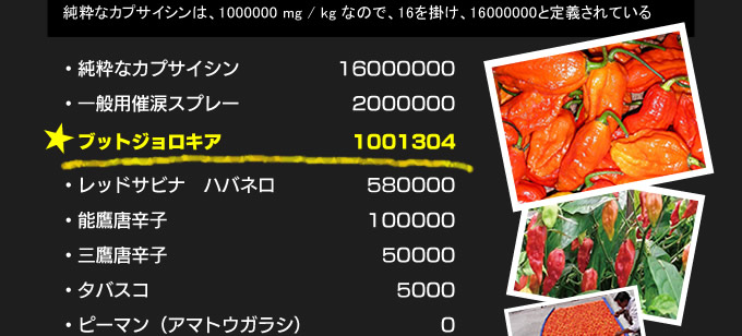 NHKɎX 163008 gуobe[ 	->摜>9 