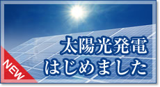 太陽光発電はじめました